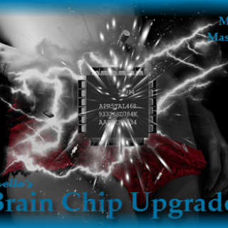 Brain Chip Upgrade--Managed Masturbation