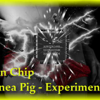 Brain Chip Upgrade-Guinea Pig 1