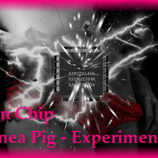 Brain Chip Upgrade-Guinea Pig 2