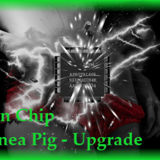 Brain Chip Upgrade-Guinea Pig 3