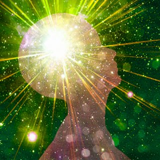 Mind Meld
