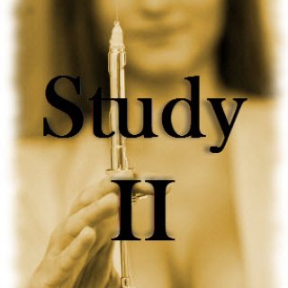 The Experiment--Study II