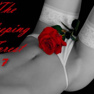 The Sleeping Forest-Part 7 - Final Destination