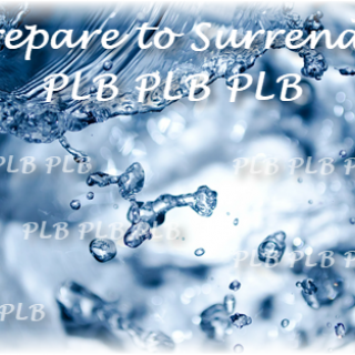 Shelle’s Playground—PLB