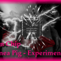 Brain Chip Upgrade-Guinea Pig 2